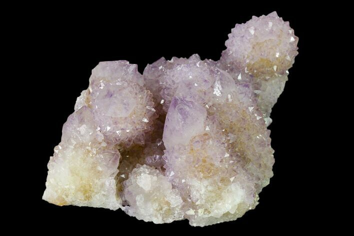 Cactus Quartz (Amethyst) Crystal Cluster - South Africa #137820